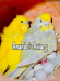 MASTER BREEDING PAIR